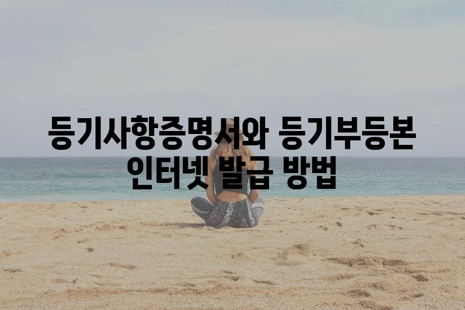 샘플 (84)