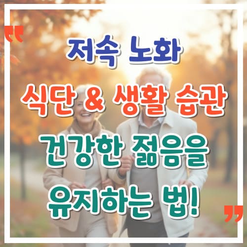 저속-노화-식단-생활-습관으로-건강한-젊음을-유지하는-법