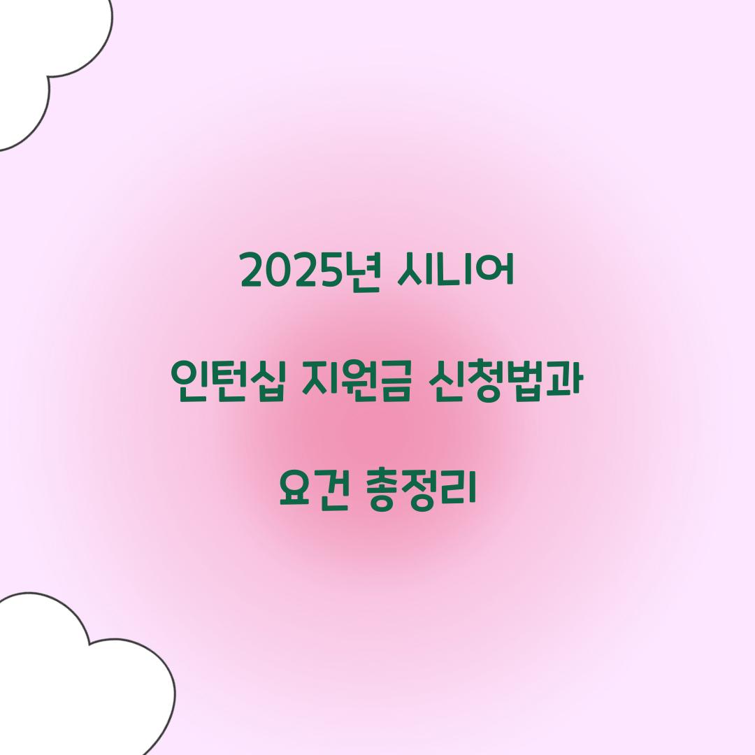 시니어 인턴십 지원금