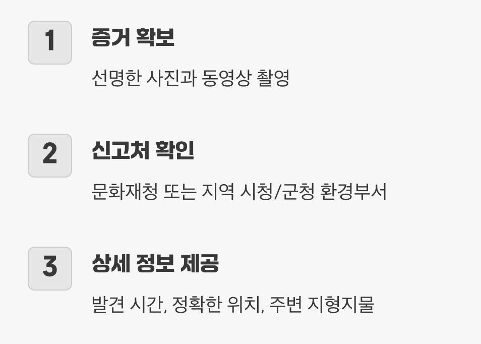 가장 중요한 단계, 올바른 신고 방법