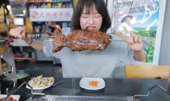 쯔양 프로필&middot;나이&middot;수입사건사고&middot;논란 완전 총정리 2026-5