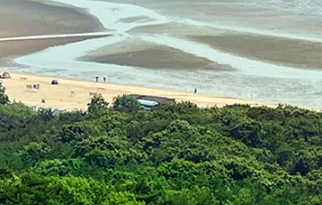 숲나들e 무의도 자연휴양림 국내 여행지 추천 관련사진