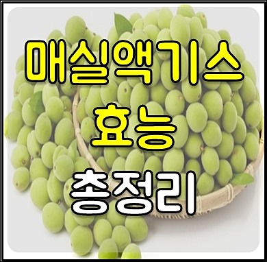 매실액기스 부작용 1