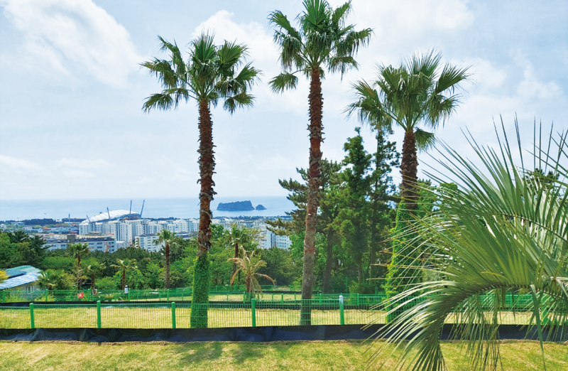 제주 서귀포시 강창학파크골프장 소개