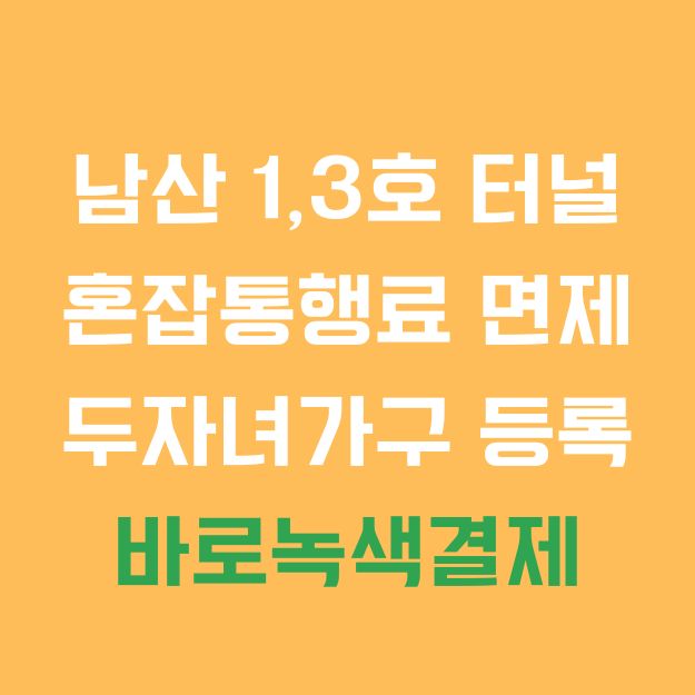남산 1호 3호 터널 혼잡통행료 면제 다자녀 가구