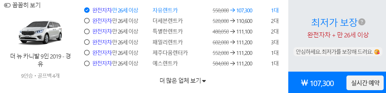 돌하루팡 렌트카 가격비교