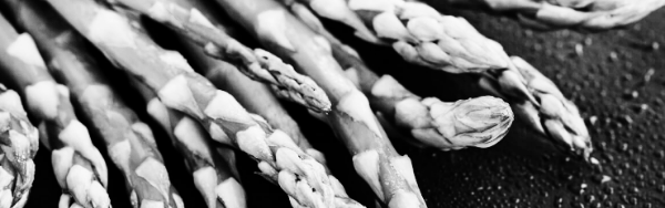 아스파라거스 재배방법: 흙, 재배 작형