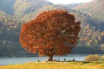 화천 가볼만한곳 베스트10 현지인 추천 필수코스_3