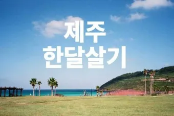 제주도 한 달 살기 아기와 함께하는 특별한 여행 준비 팁_3