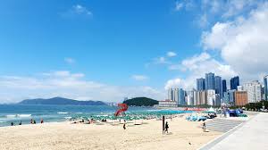 해운대 해수욕장 파라솔 튜브 물품보관함 샤워 비용