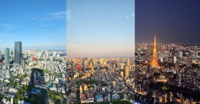 전망대