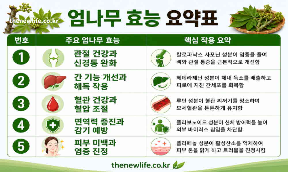 엄나무 효능 요약표