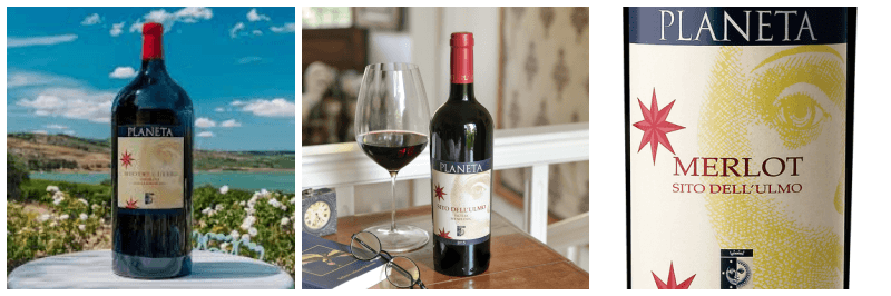 플라네타 메를로 2003 사진 3개