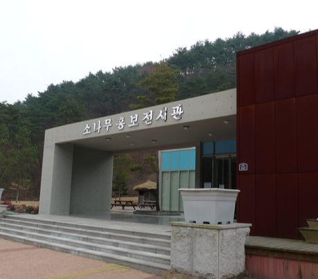 보은 가볼만한곳 베스트10