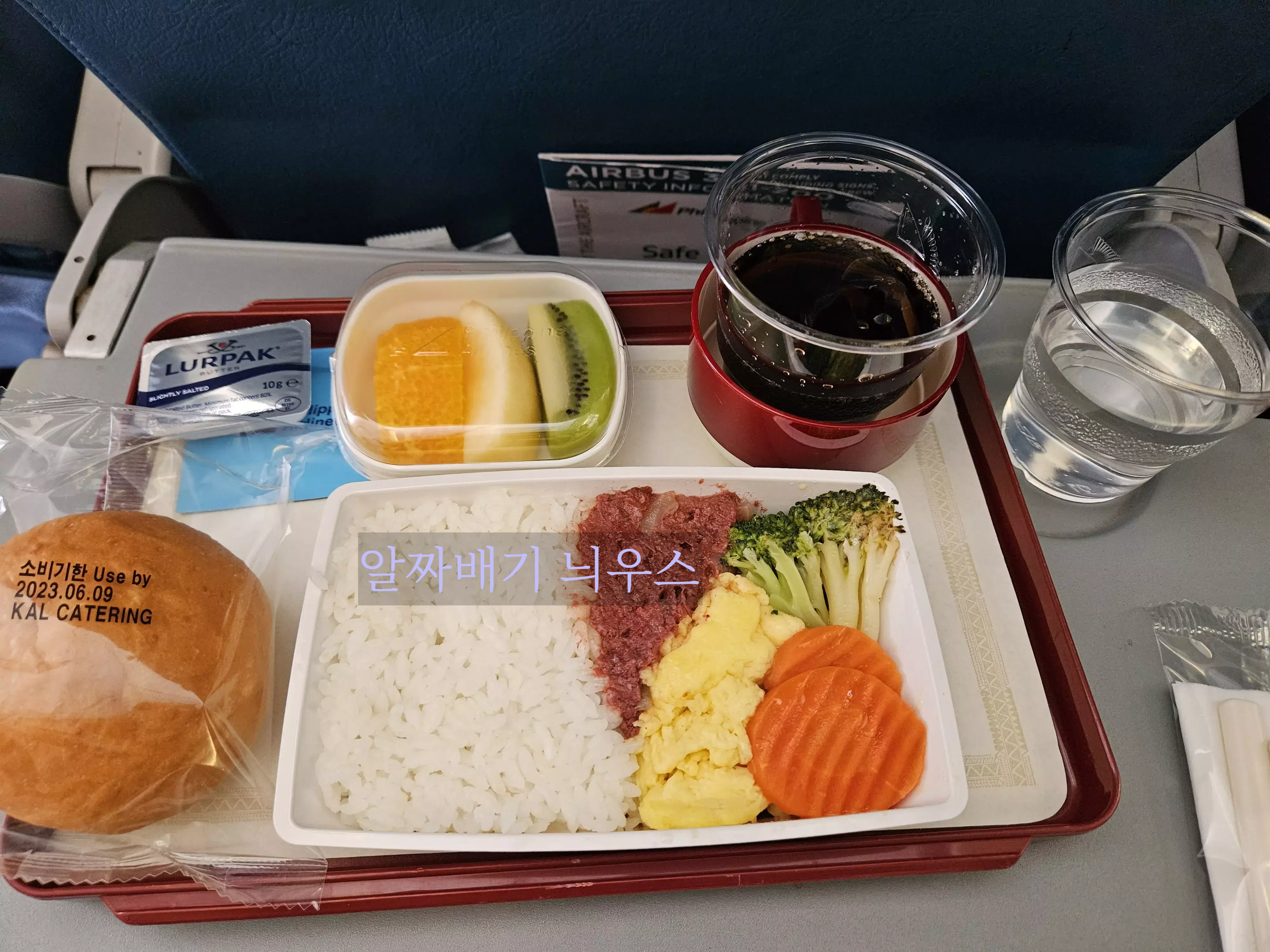 필리핀 항공 기내식