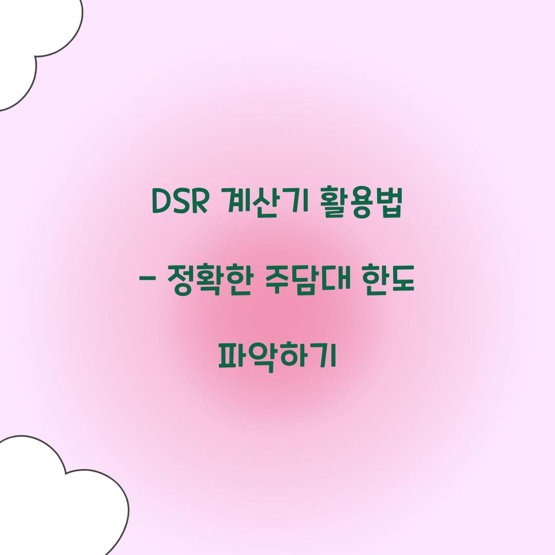 DSR 계산기