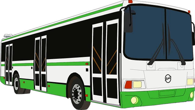 서울남부터미널 버스