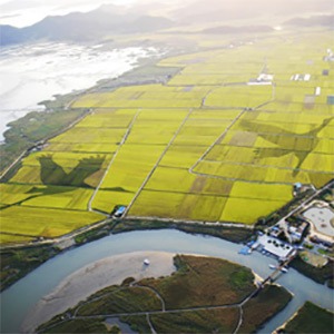 순천만 습지 용산전망대