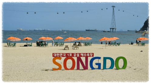 2024 부산 해수욕장 개장일 [추천]