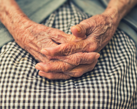 엽산 효능 : 노화