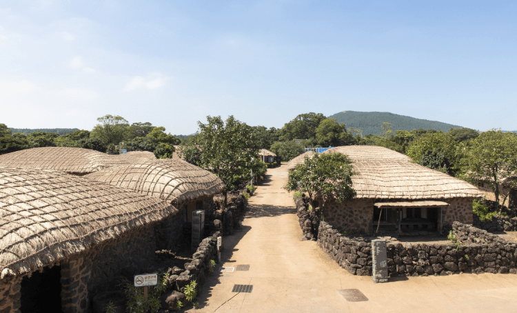 겨울 제주도 여행