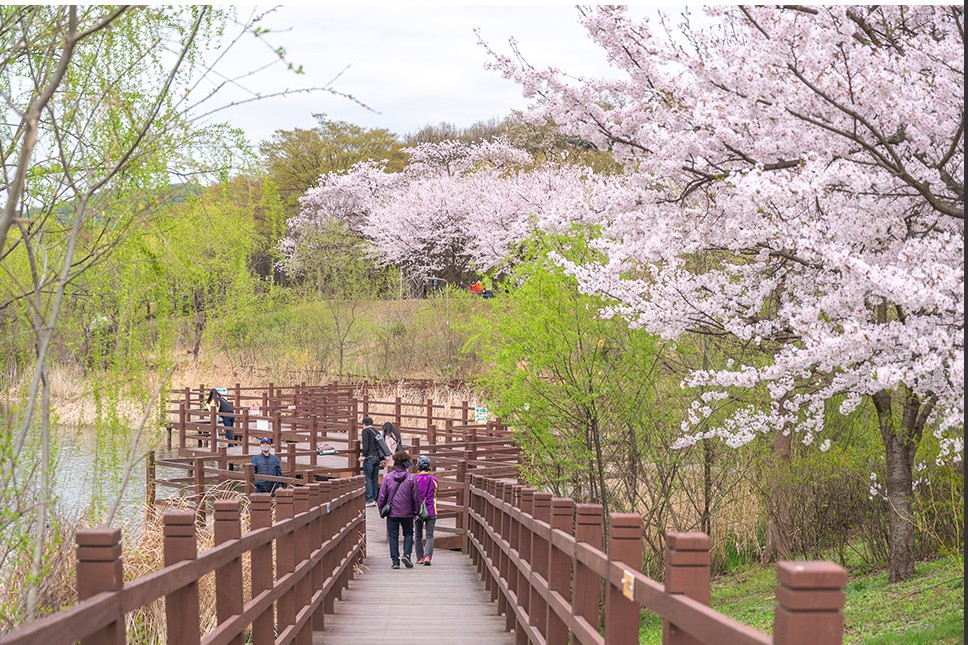 인천대공원-사진