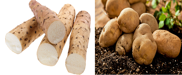 위 건강에 좋은 마, 감자