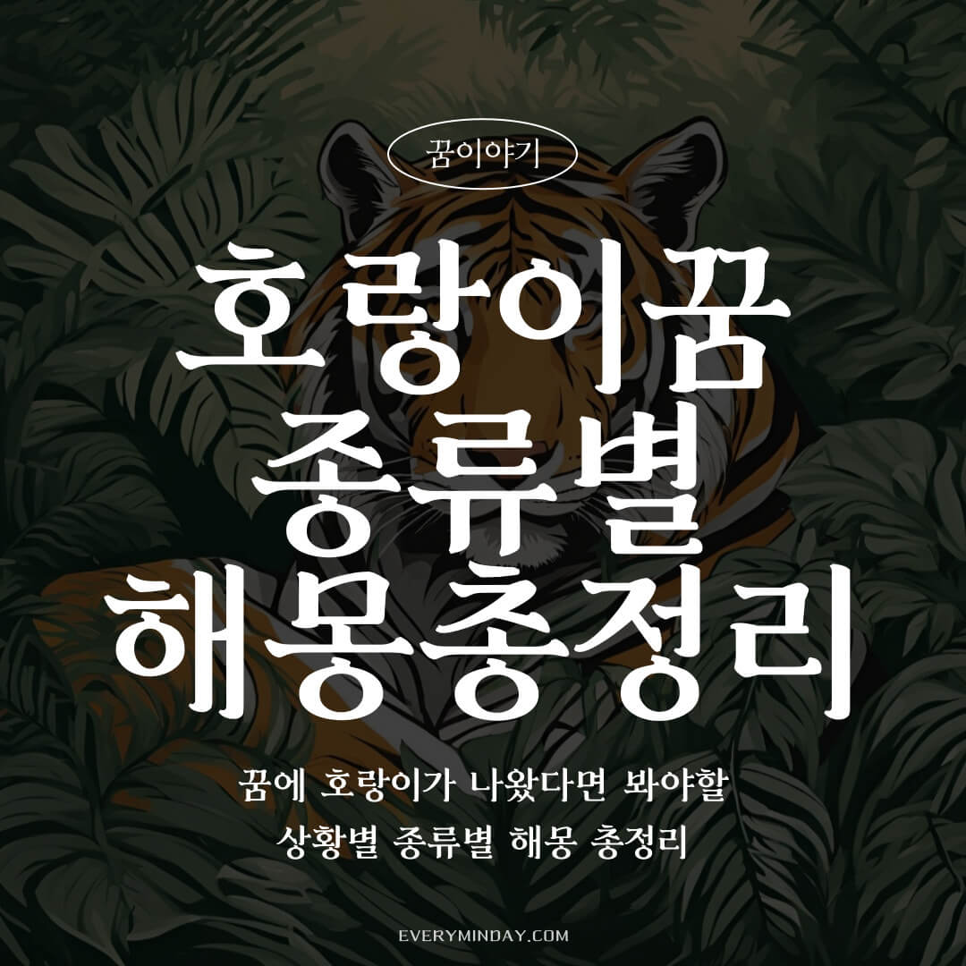 호랑이꿈 종류별 해몽 총정리