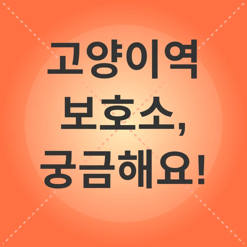 고양이 보호소 방문_4