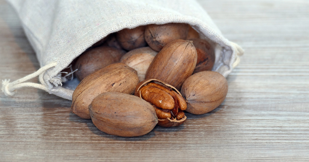 강아지가 먹으면 위험한 피칸