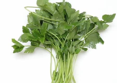 참나물 – 향긋하고 상큼한 봄나물