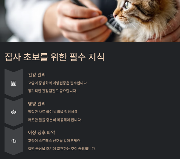 고양이 키우기: 초보집사를 위한 입분양부터 준비물 및 주의사항
