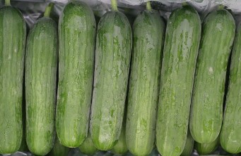 수박값이 3만 원? 폭염에 오른 과일값&amp;#44; 대체 뭐가 문제일까?