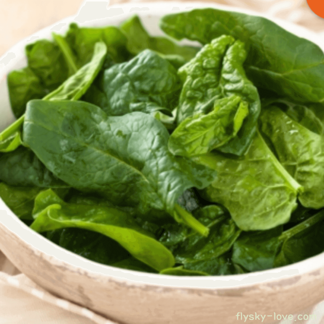 말라바 시금치 (Malaba Spinach)