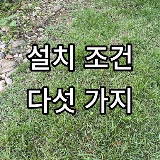돌-잔디