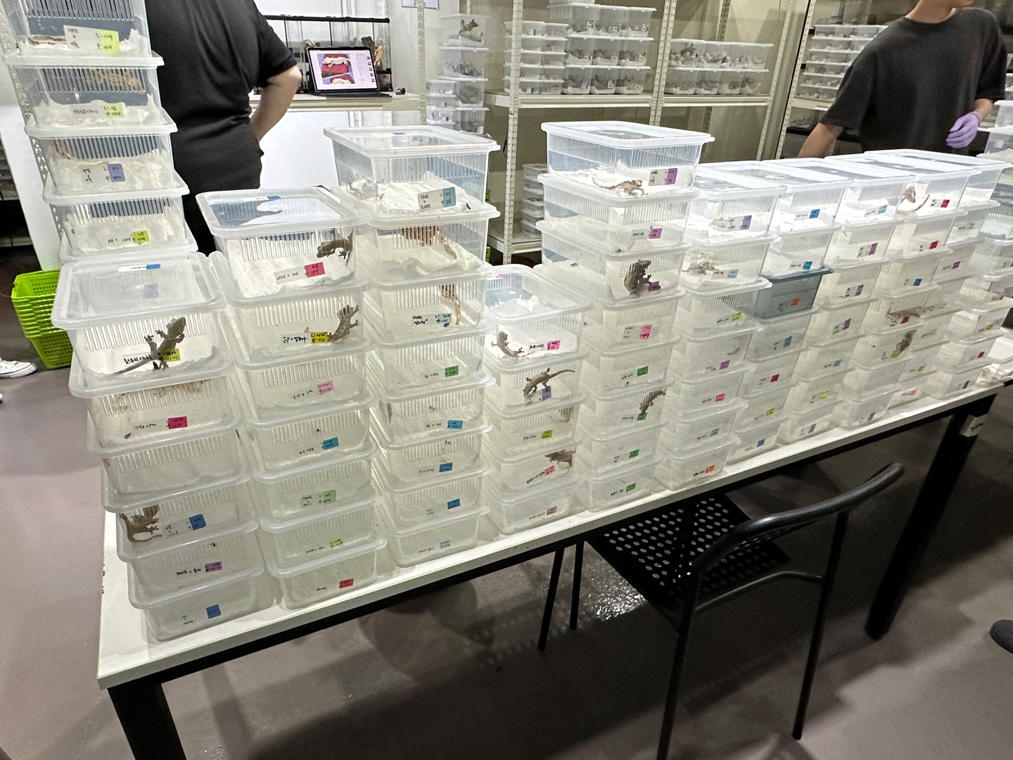 다양한-가격대로-분양중인-크레의-전시-모습