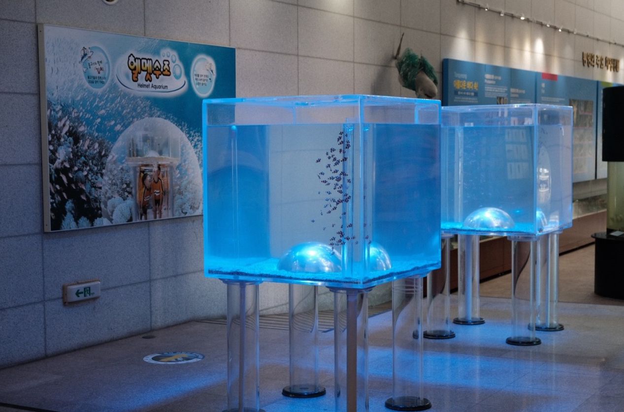 통영수산과학관