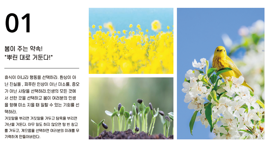 내 영혼을 담은 인생의 사계절 짐론 봄