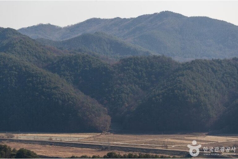 청룡의 해 가족과 여행하기 좋은 국내여행지 추천5