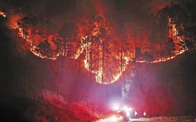 의성 산불 원인9