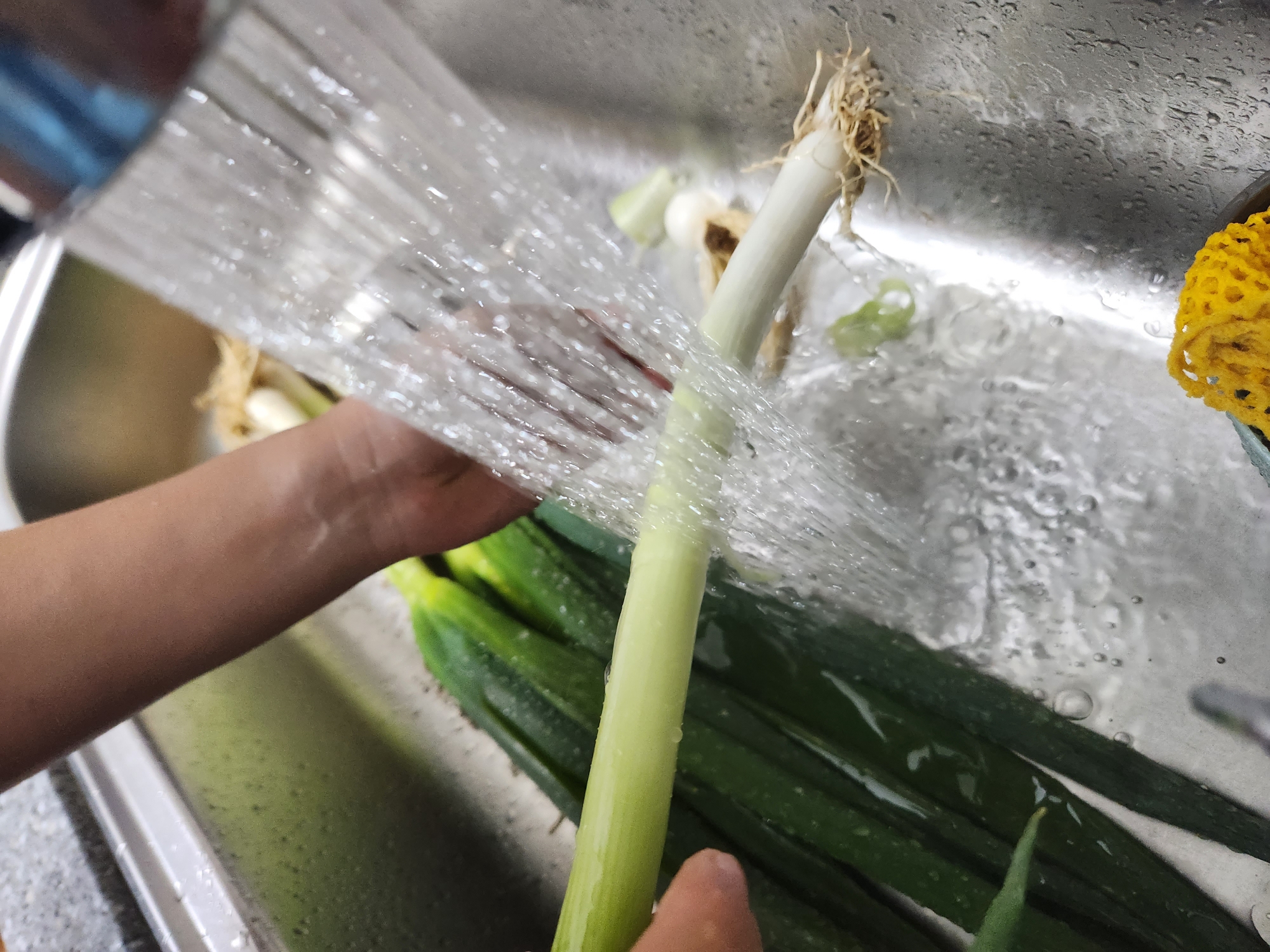 대파 보관법&amp;#44; 대파 효능에 대해 확실히 알려드릴게요. 냉동보관법