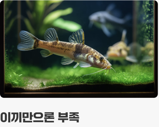 먹이 - '채식' 위주의 건강한 식단