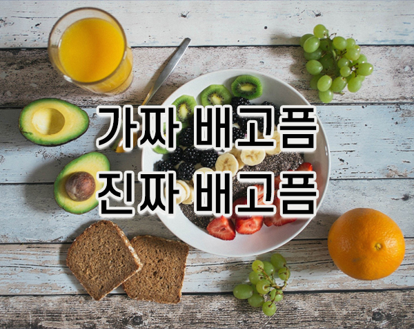 진짜 배고픔과 가짜 배고픔