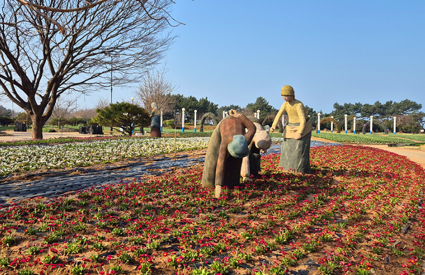2025 태안 세계 튤립 꽃 박람회