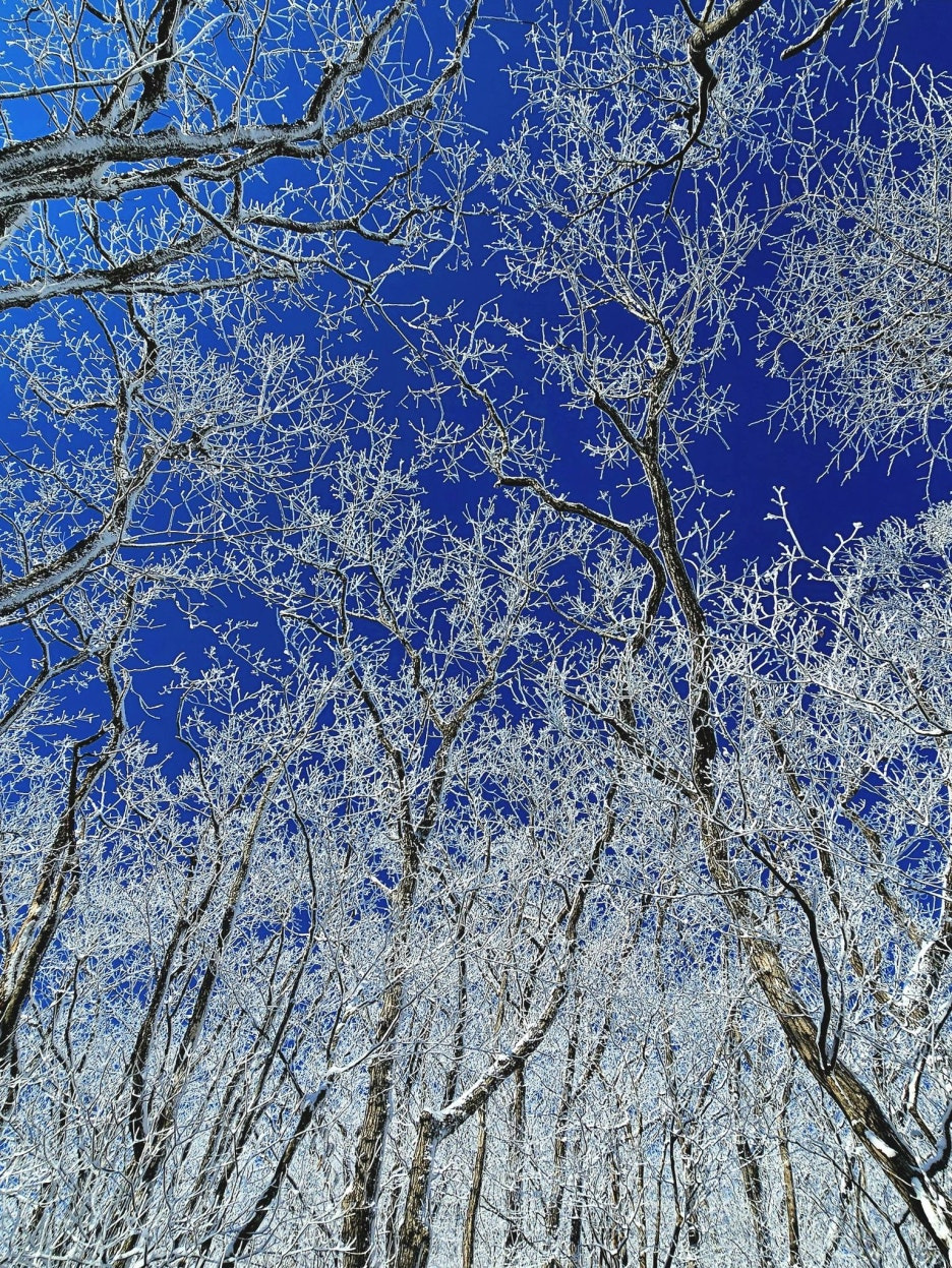 덕유산 CCTV 실시간 날씨 설천봉 향적봉 겨울눈꽃여행