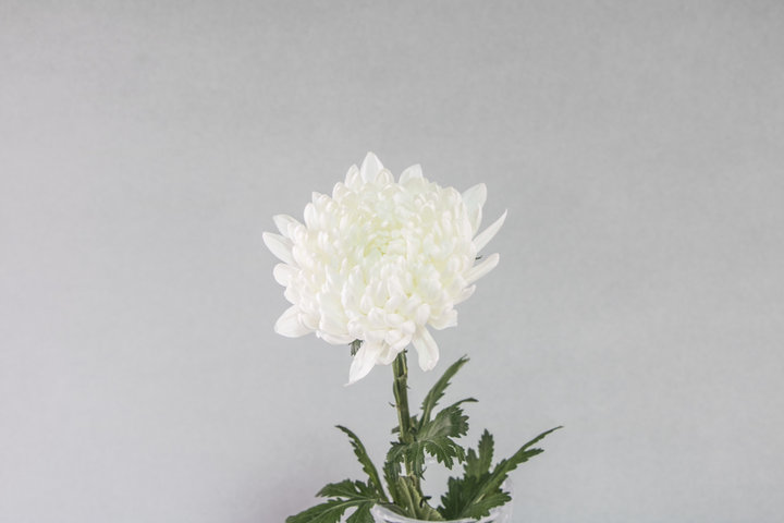 무안 제주항공 여객기 참사 희생자들과 유족들을 위한 기도문