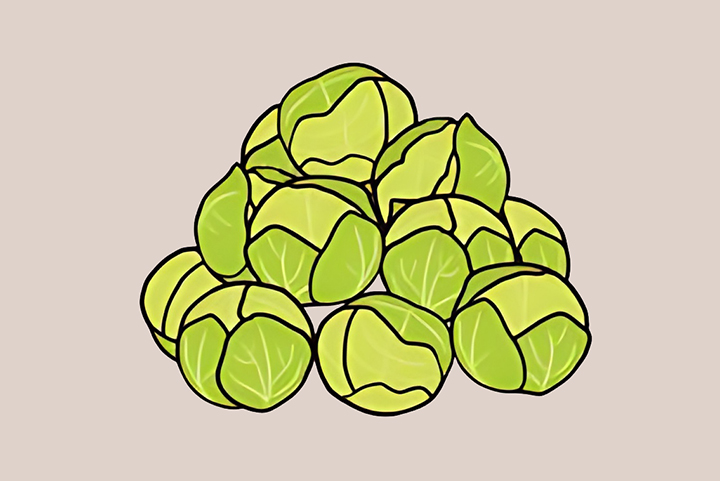 브루셀-스프라우트-하루-섭취-권장량