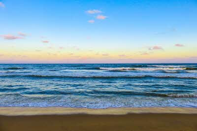 해수욕장 개장일