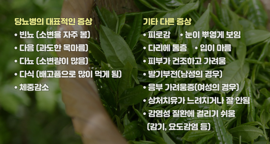 당뇨병 증상과 예방음식