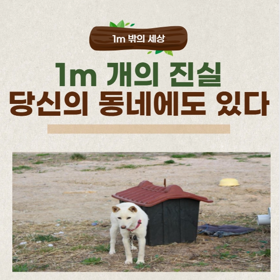 우리 집 앞의 진실, 1m 개는 무엇을 느낄까